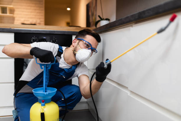 Best Commercial Pest Control Services  in Tuckerton, NJ