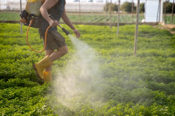 Best Residential Pest Control  in Tuckerton, NJ